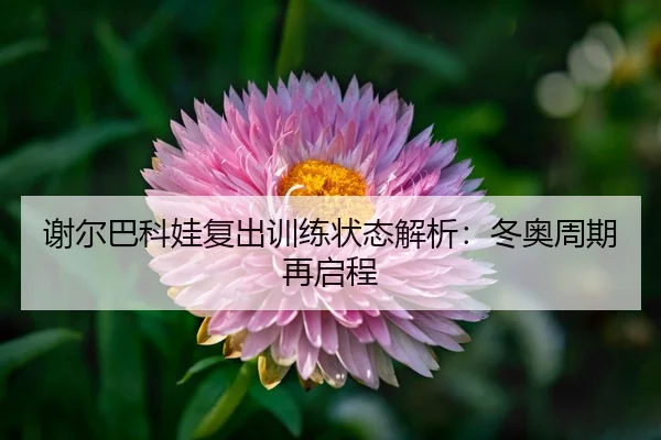 xie-er-ba-ke-wa-fu-chu-xun-lian-zhuang-tai-jie-xi-dong-ao-zhou-qi-zai-qi-cheng-3-519.jpg