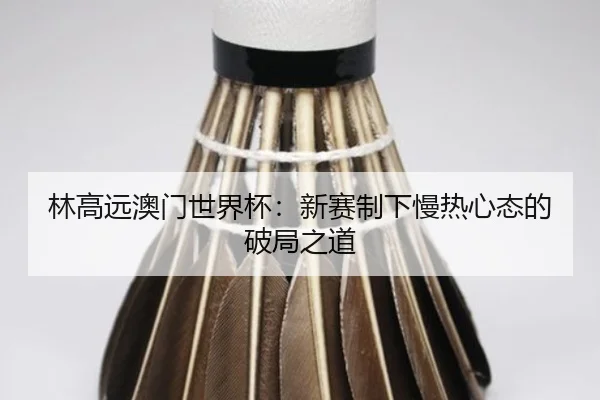 林高远澳门世界杯：新赛制下慢热心态的破局之道